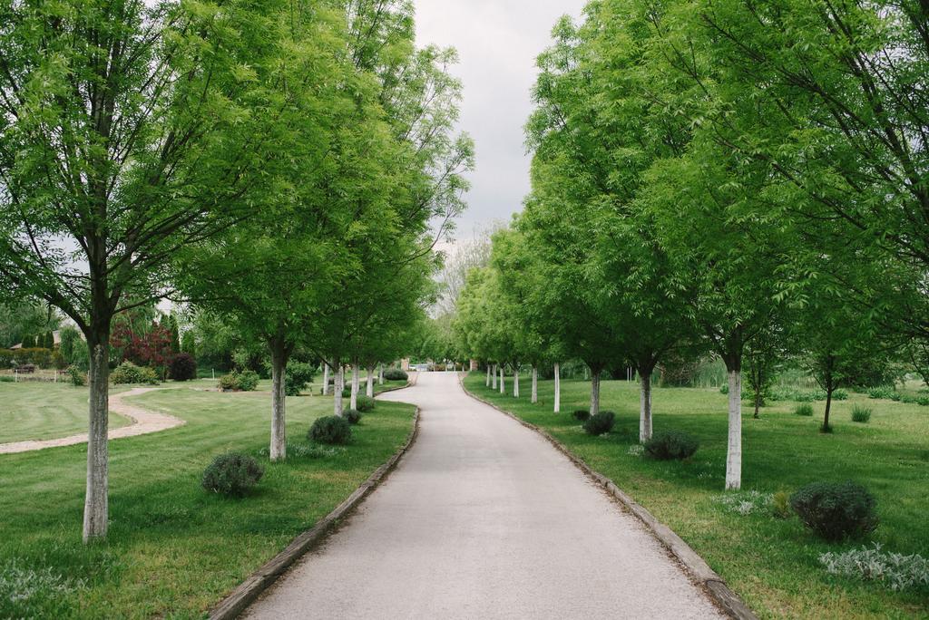 Salas Dordevic Subotica Exteriér fotografie